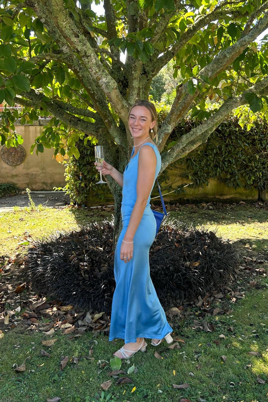 Dominique Healy Nevermind Dress (Blue)